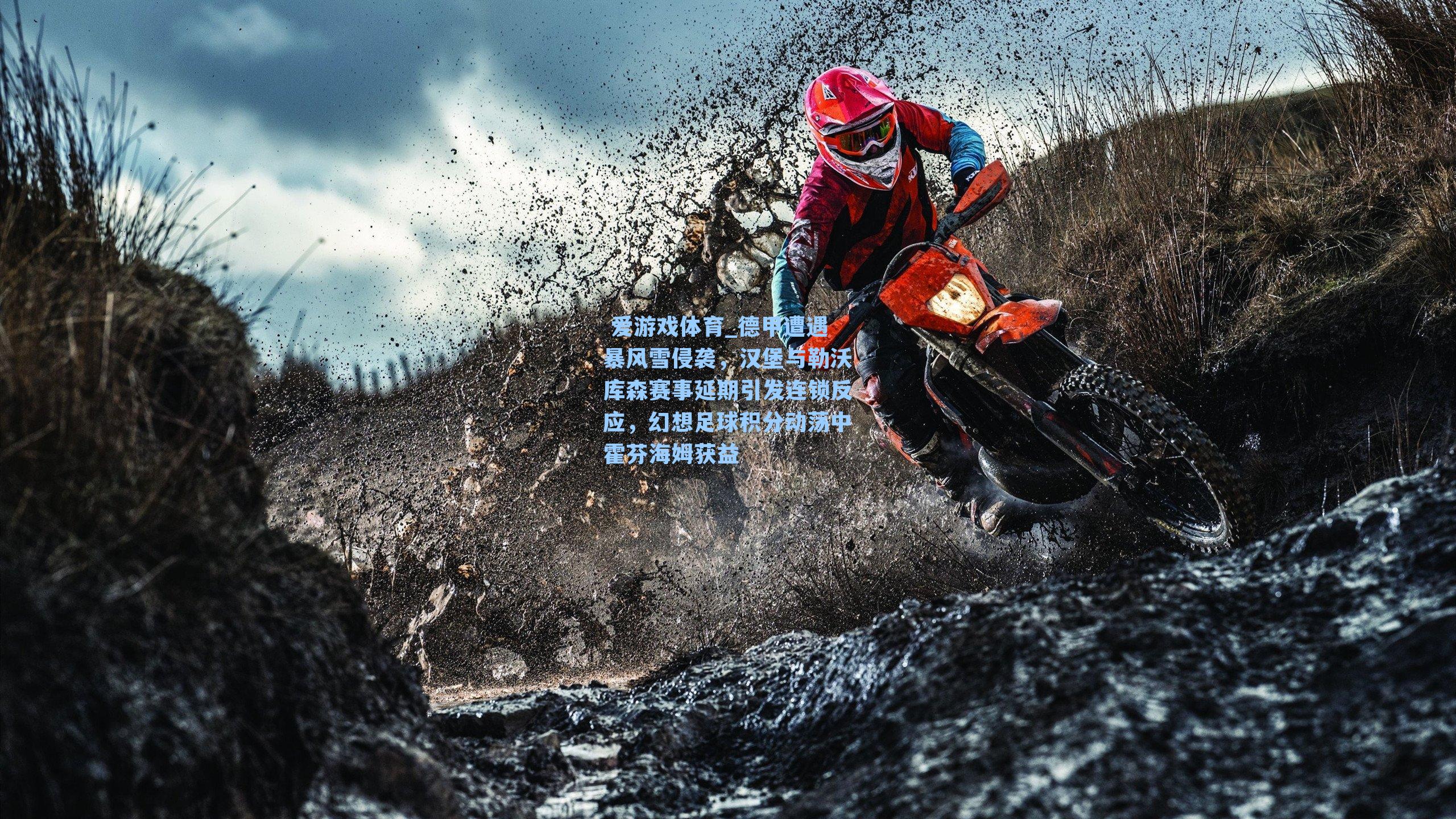 德甲遭遇暴风雪侵袭，汉堡与勒沃库森赛事延期引发连锁反应，幻想足球积分动荡中霍芬海姆获益